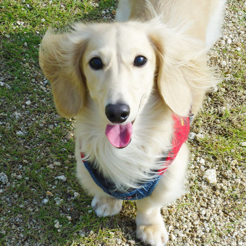 キロナナ
