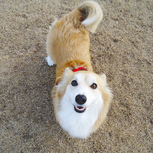 キロちゃん